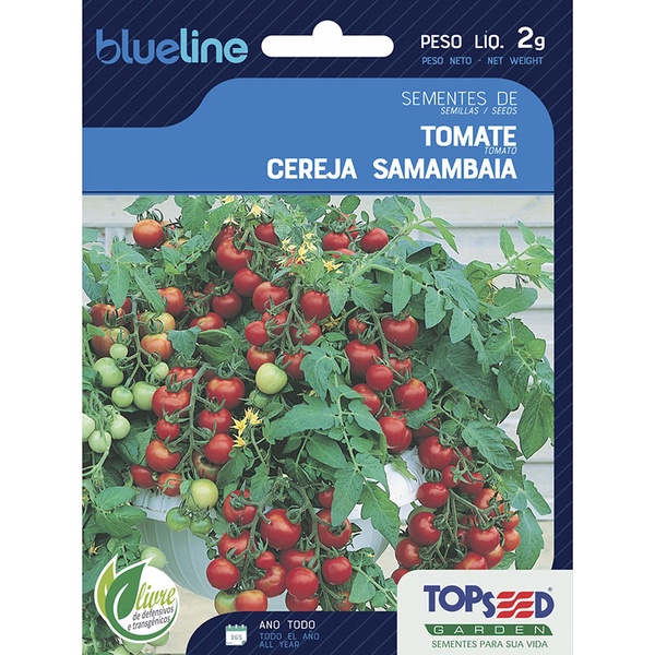 Sementes de Tomate Cereja Samambaia Blue Line 2g Topseed Garden
