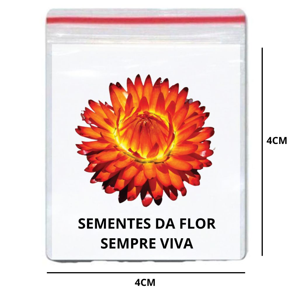 150 Sementes da Flor Sempre Viva/ Própria para Vasos e Mudas | Shopee Brasil