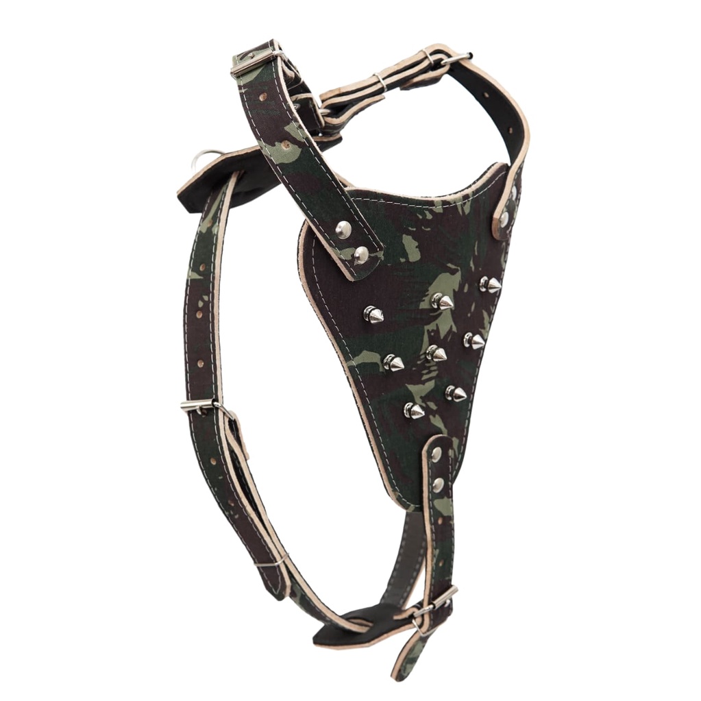 Bull Terrier American Bully: Onde Comprar | BuscaProdutos