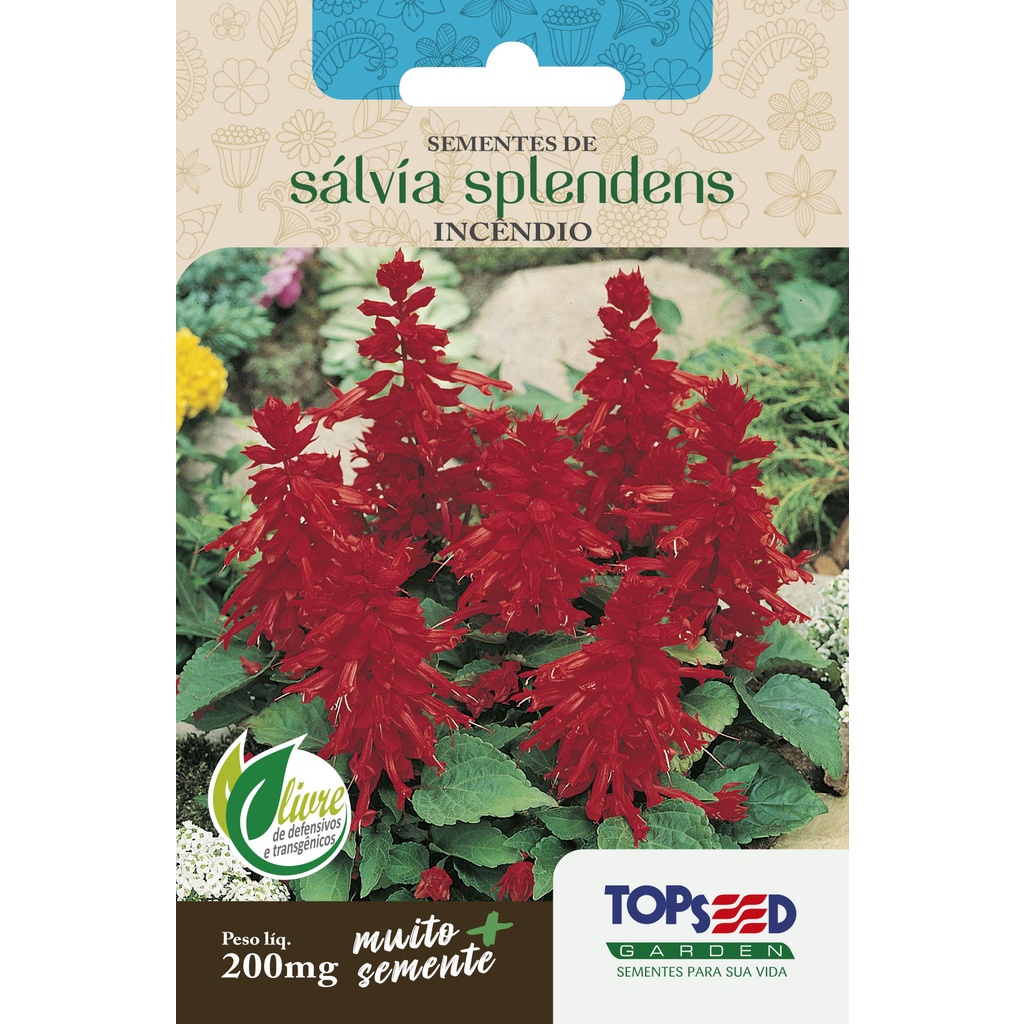 Sementes de Sálvia Splendens Incêndio Topseed Garden 200mg Flor Vermelha Ornamental para Jardim e Canteiro