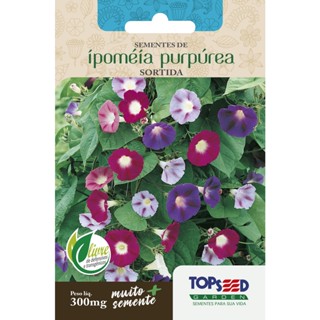 Sementes de Ipoméia Purpúrea Sortida 300mg Topseed Garden