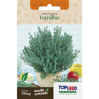 Sementes de Tomilho 50mg Temperos Ervas Saladas Horta em Oferta na Shopee