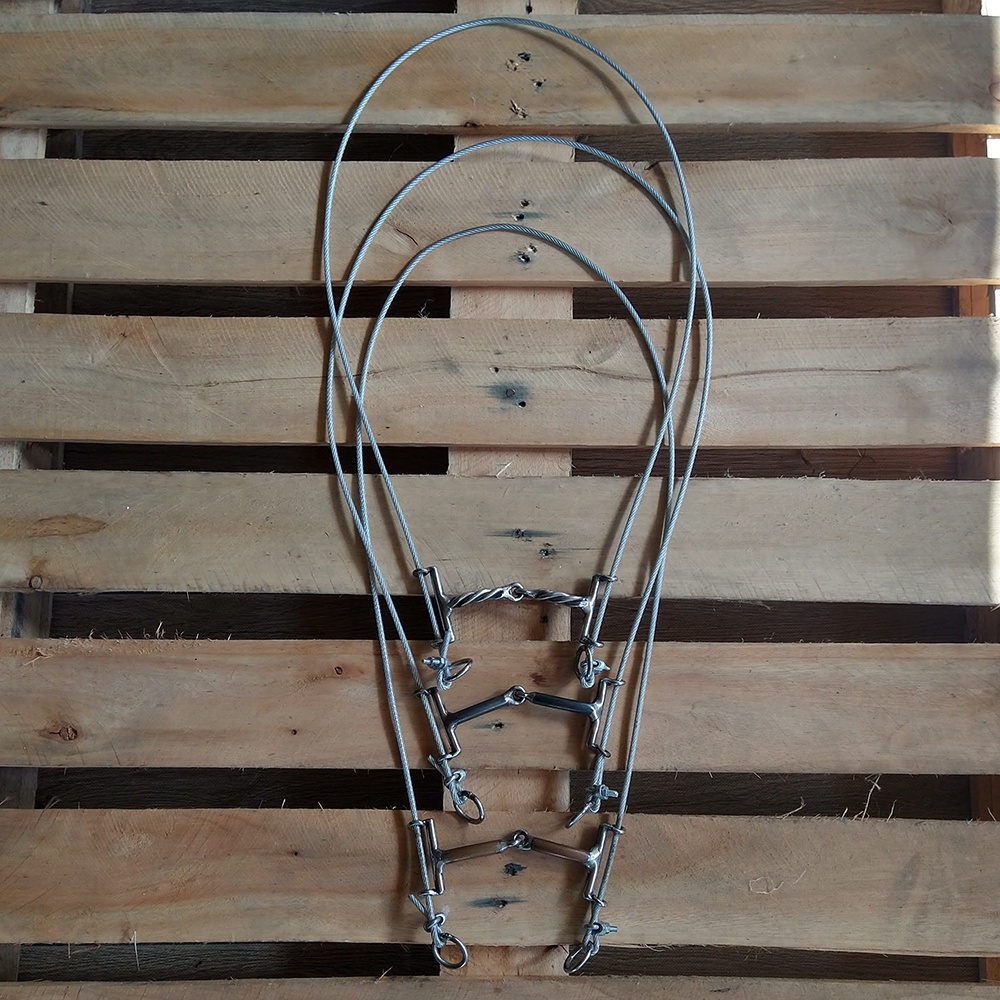 Bridao Gag Bit: Guia Completo e Onde Comprar | BuscaProdutos