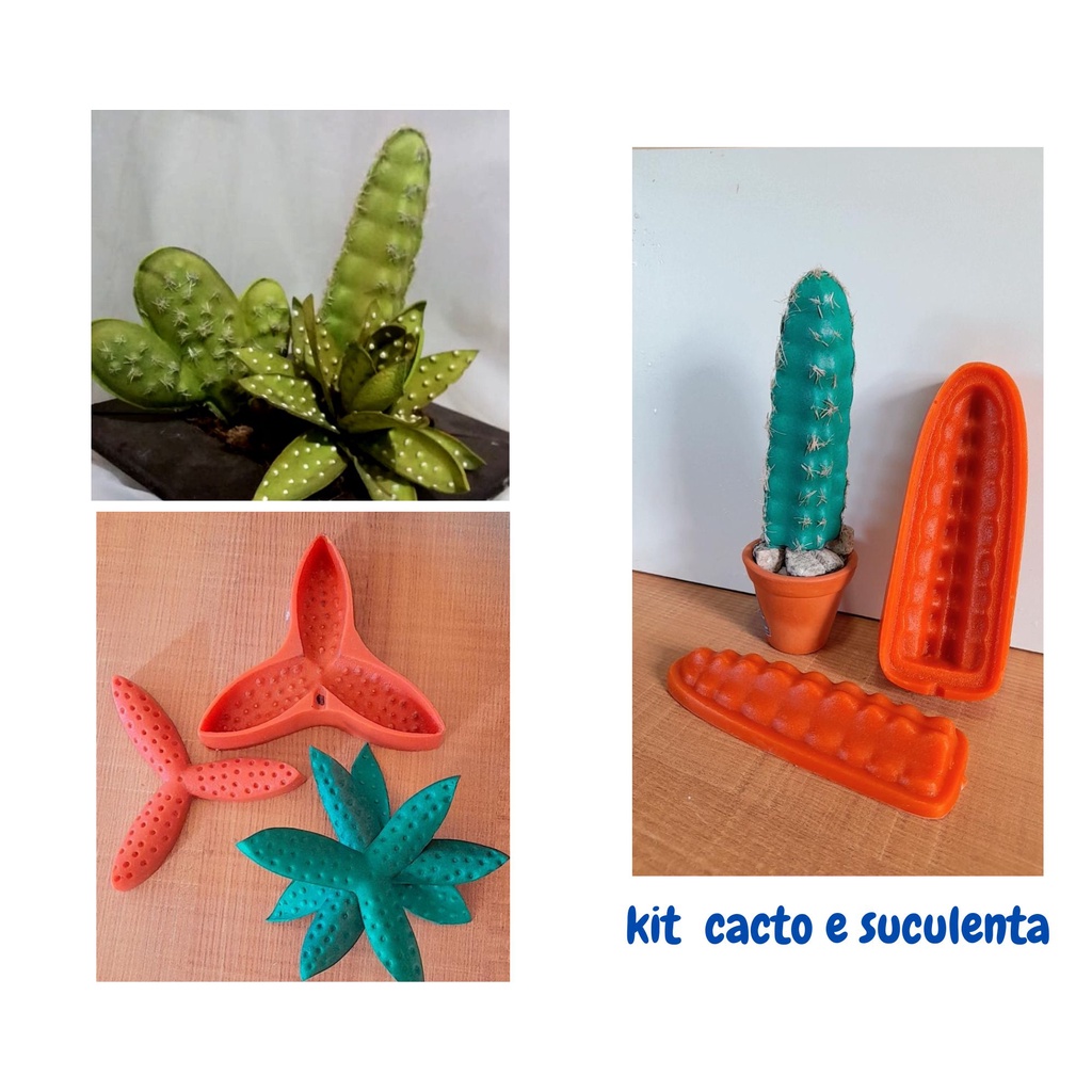 Frisadores de  Eva Cacto São Pdro e Suculenta Aloe Pumila kit c/2