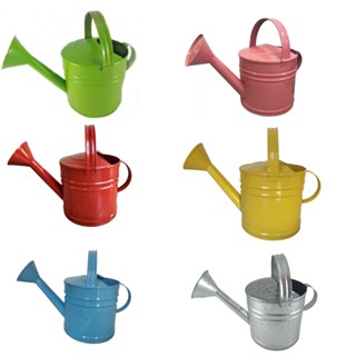 Mini Regador De Água Para Jardim Metal Galvanizado 3,0 Lts Não Enferruja