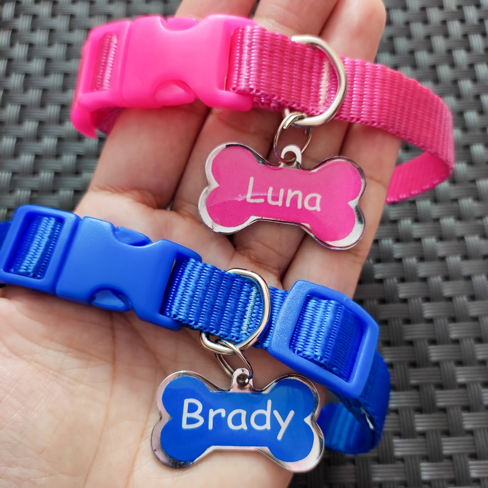 Coleira com Plaquinha De Identificação com nome Personalizada Pingente Pet Cachorro Cão Gato