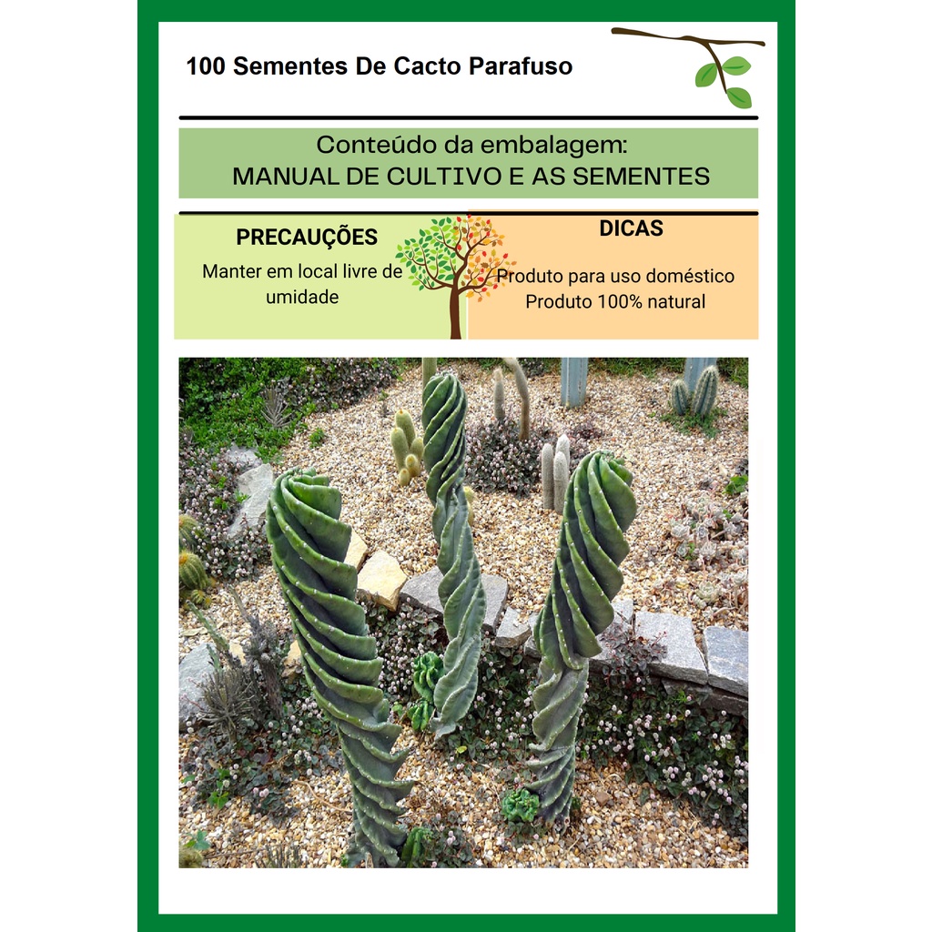 100 Sementes De Cacto Parafuso