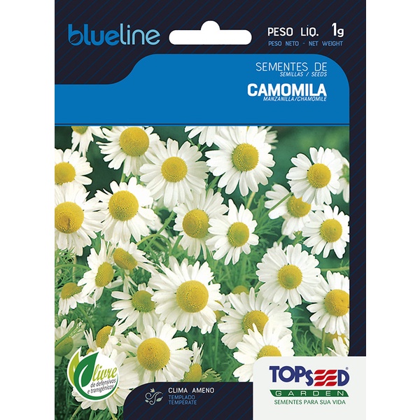 Imagem Sementes de Camomila 1 Grama Ervas Chá Calmante Flores Vasos Horta