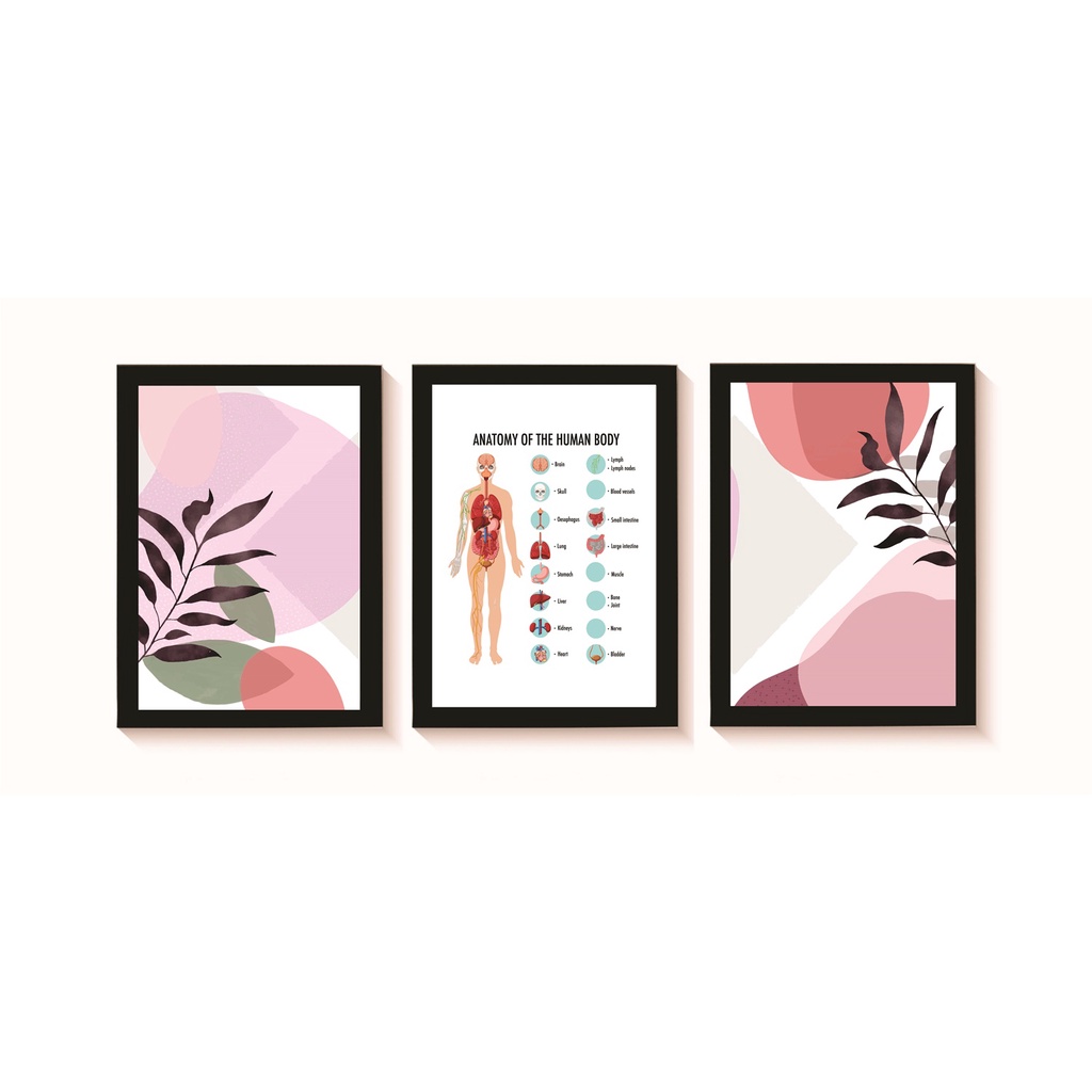 Kit 3 Quadros Decorativos Anatomia do Corpo Humano Molduras 20x30cm Madeira Vidro Pretas