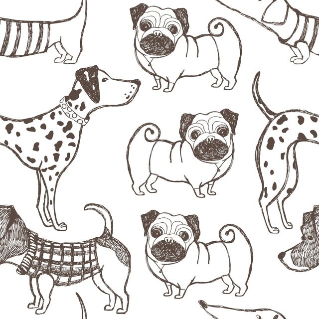Papel de Parede Animal Cachorros De Raça sobre Fundo Branco Vinil Autocolante