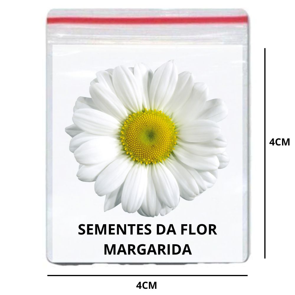 200 Sementes Da Flor Margarida - Ideal para Vasos Jardins ou Jardim  Vertical | Shopee Brasil