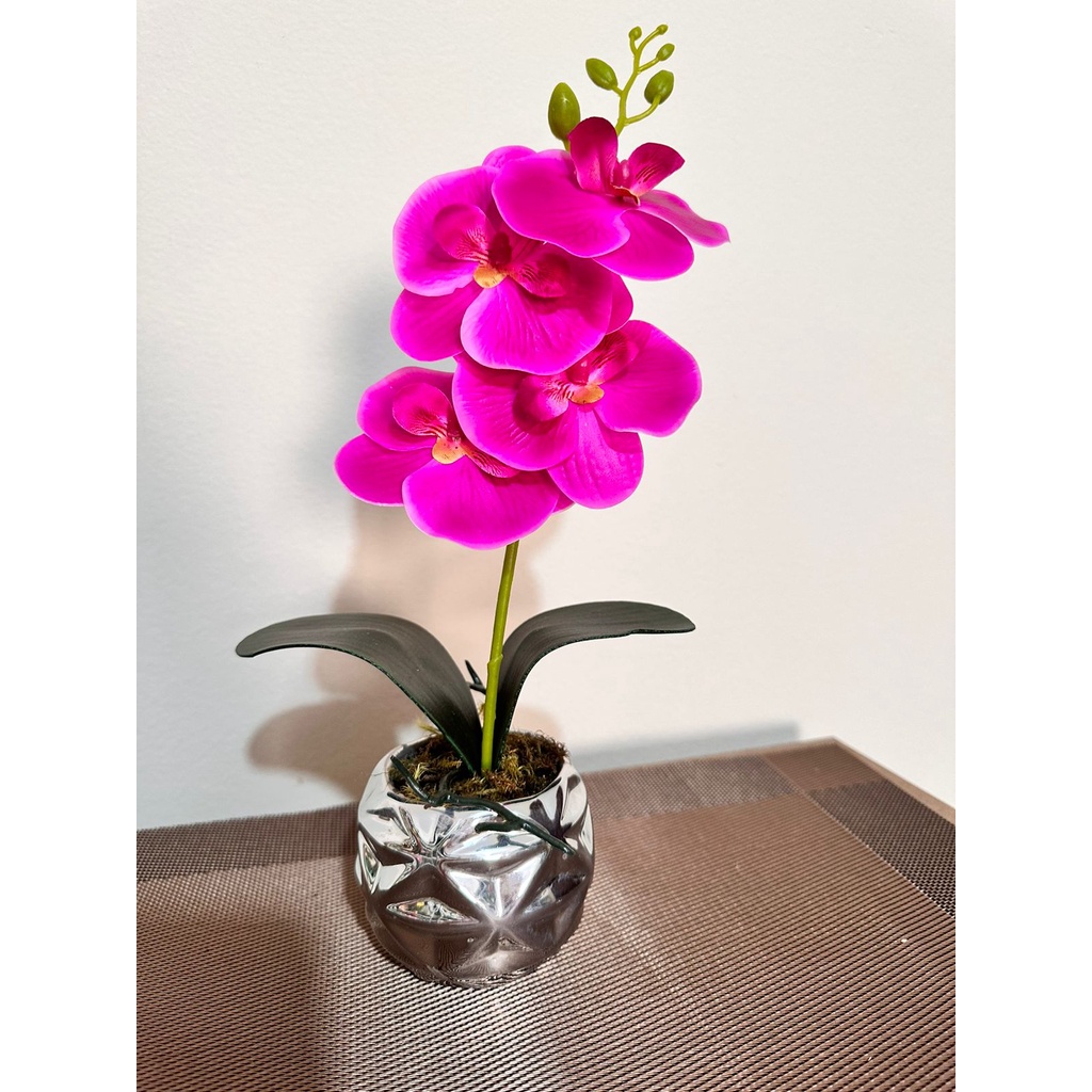 Mini Arranjo De Orquídeas Permanentes Em Vaso Prateado decoração | Shopee  Brasil