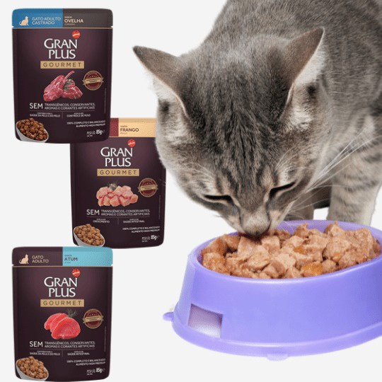 Sache Gran plus Gatos Kit com 10, 15 e 18 Unidades