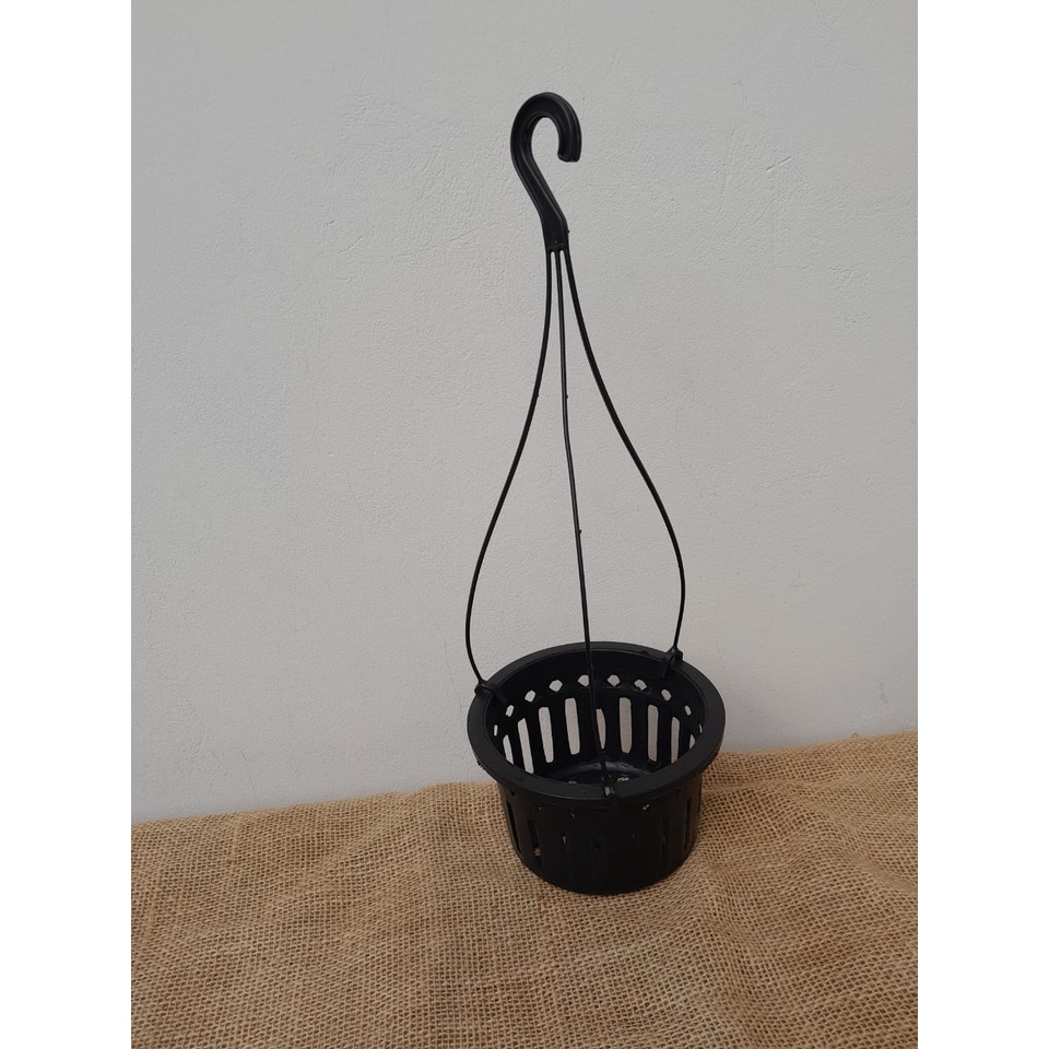 Kit com 5 Vasos + Suporte para Pendurar Orquídeas Vanda ou Stanhopea Cesta Vazado Preto Grande