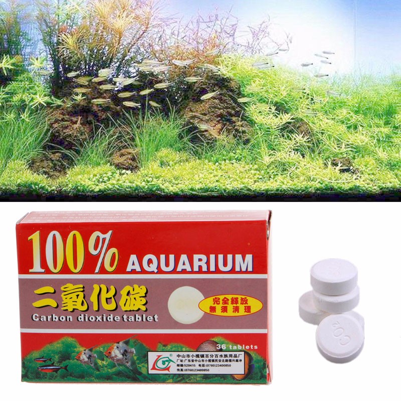 36pcs CO2 Pastilhas De Dióxido De Carbono Para Plantas Peixes De Aquário Difusores De Tanques em Oferta na Shopee