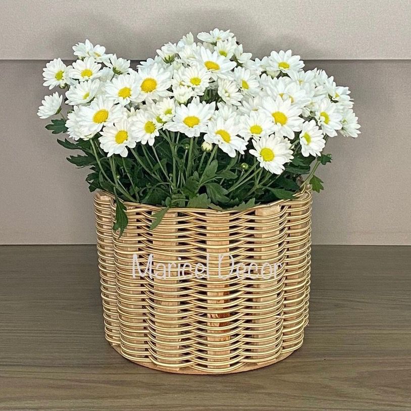 Kit Vaso Cachepô 20x15cm Crisântemo Redondo de Fio