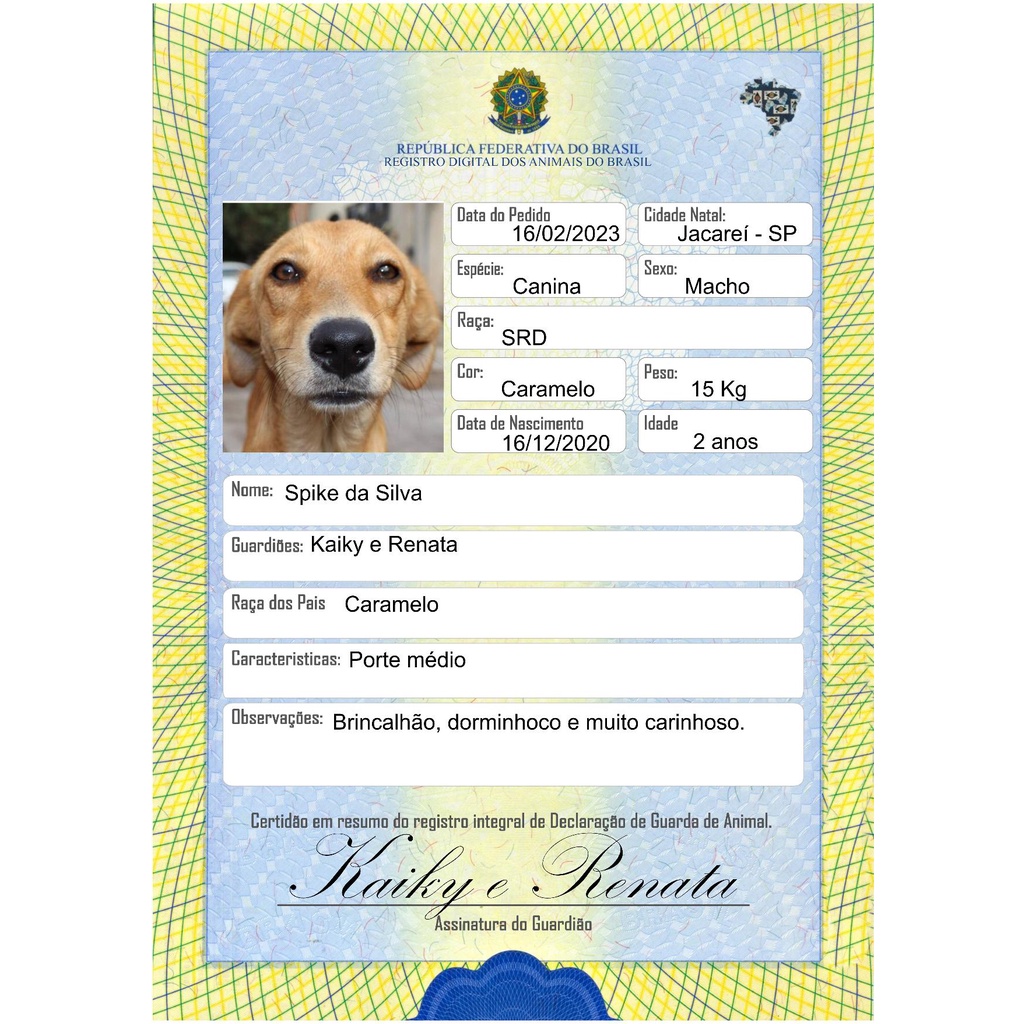 Certidão de nascimento plastificado/pet/cachorro/gato/animais de ...