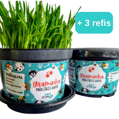 Kit Luna Pet Store: 1 Grama Graminha para Pets + 3 Refis Reposição para Graminha em Oferta na Shopee
