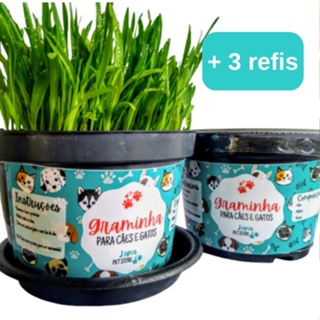 Kit Luna Pet Store: 1 Grama Graminha para Pets + 3 Refis Reposição para Graminha em Oferta na Shopee