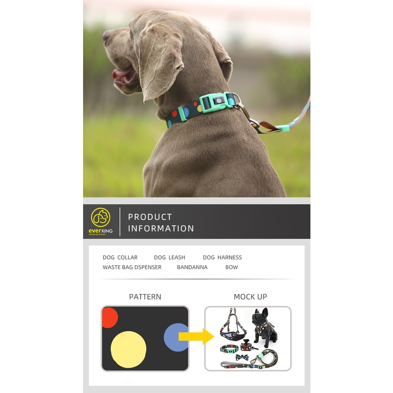 Kit 6 em 1 Coleira Peitoral Guia Lencinho Porta Sacola para Cachorro Várias Cores EVERKING