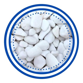 Pedras Decorativas Brancas 4kgs Seixo nº 1 em Oferta na Shopee