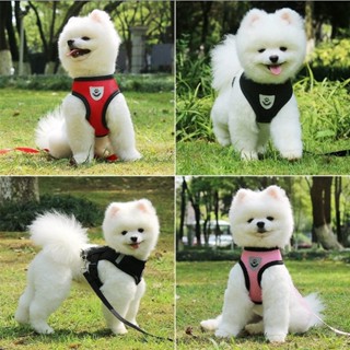 peitoral colete guia coleira cachorro gato pequeno medio porte ajustável tecido térmico adestramento passeio pet acessórios envio imediato