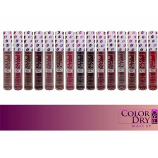 Kit Batom líquido Color Dry PRO 10 Peças - Efeito Matte com Extrema Cobertura e Secagem Rápida