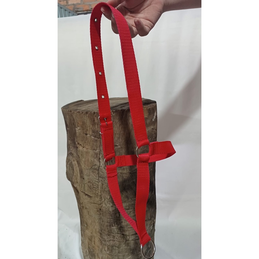 Cabresto Fita Nylon Regulável Bezerro. FABRICAÇÃO PRÓPRIA. em Oferta na Shopee