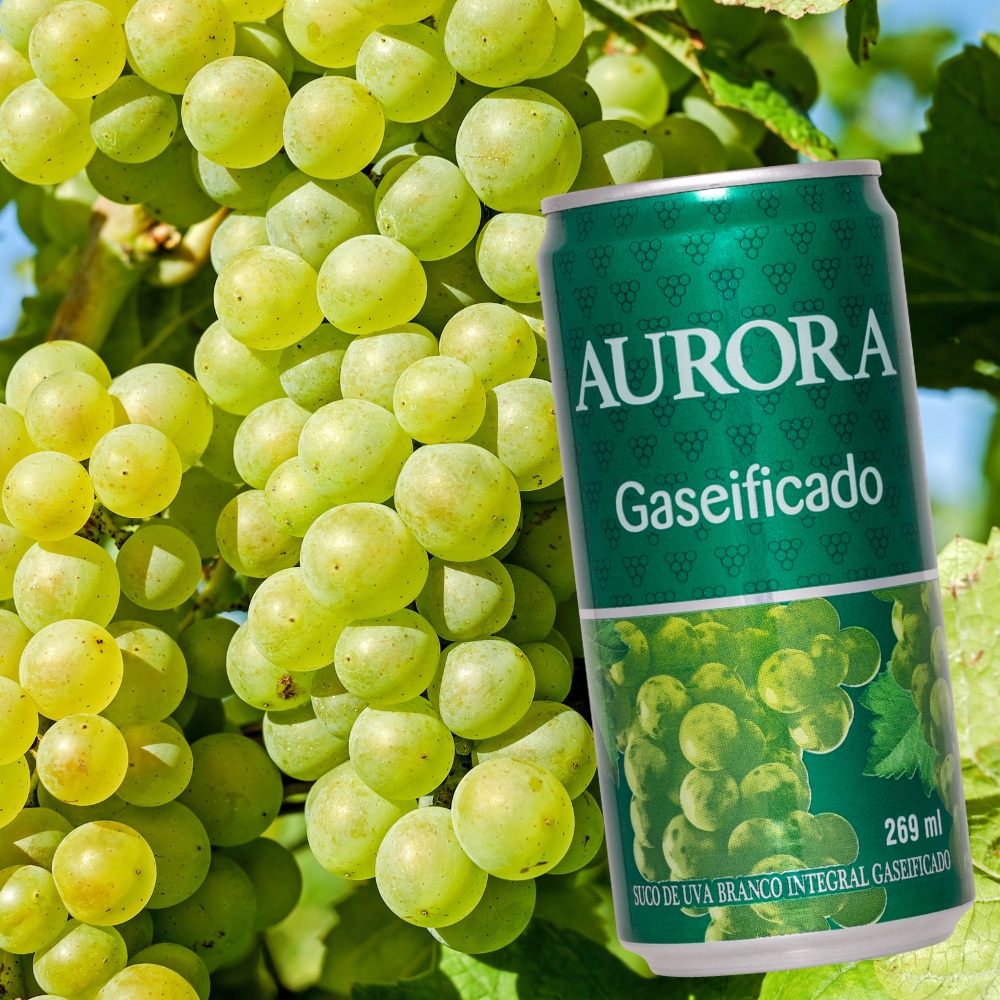 Suco Aurora Gaseificado: Onde Comprar | BuscaProdutos