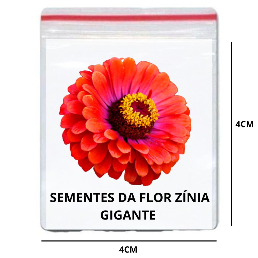 60 Sementes da Flor Zínia Gigante Alta taxa de Germinação | Shopee Brasil