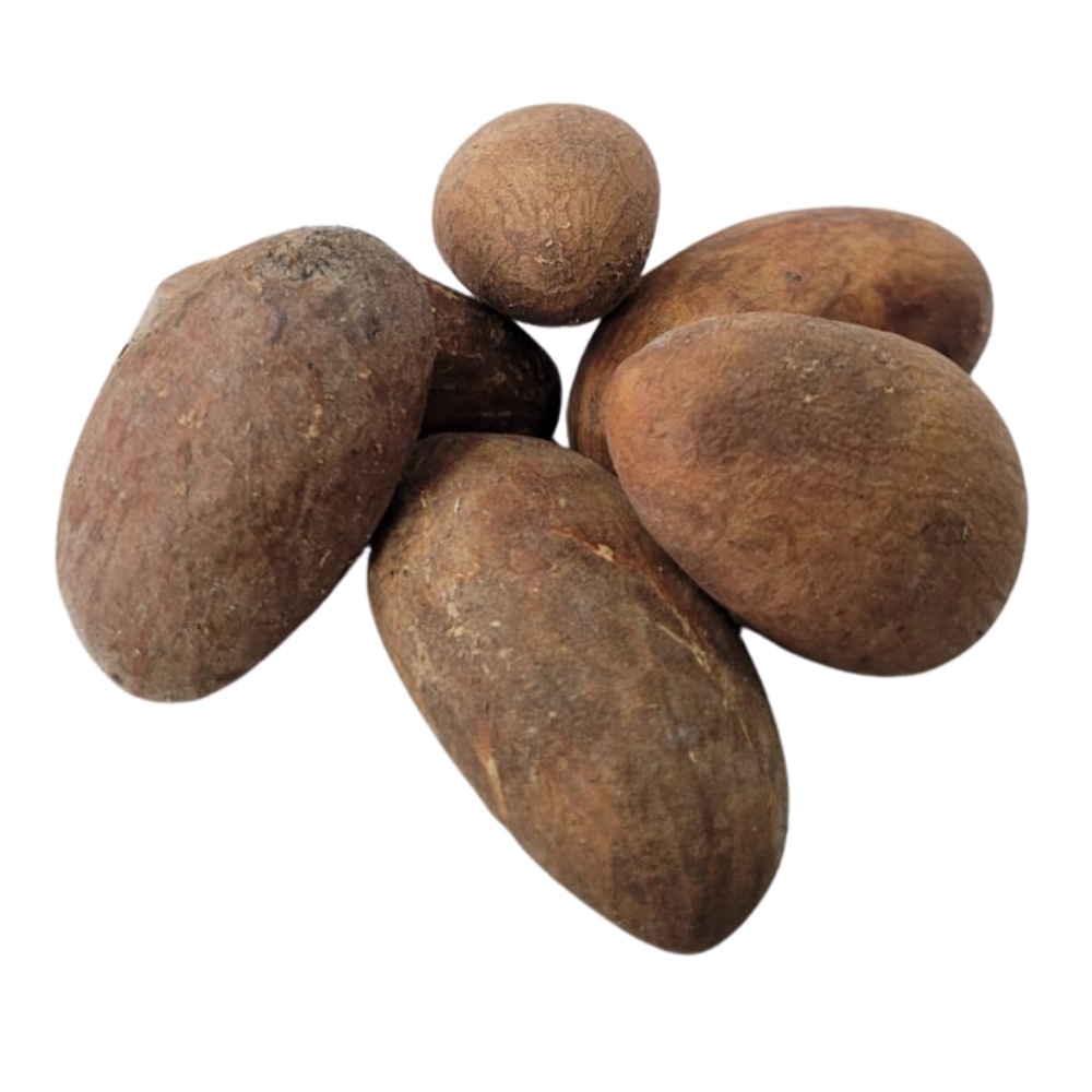 Orobo Africano - Unidade / 3 Unidades / 6 Unidades em Oferta na Shopee