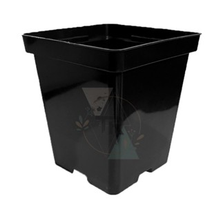 100 vasos pote 12 quadrado