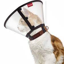 Colar Elizabetano Cirúrgico Premium Pet para Cachorro e Gato Tamanho N1