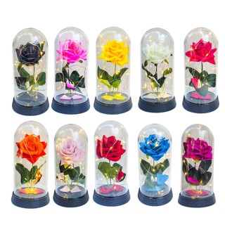 1 Luminária A Rosa Encantada A Bela e A Fera/ O Pequeno Príncipe Presente dia dos namorados G Base Preto Luzes Branco Quente