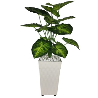 Planta Artificial Comigo Ninguém Pode E Vaso Rattan Grande Decorativo em Oferta na Shopee