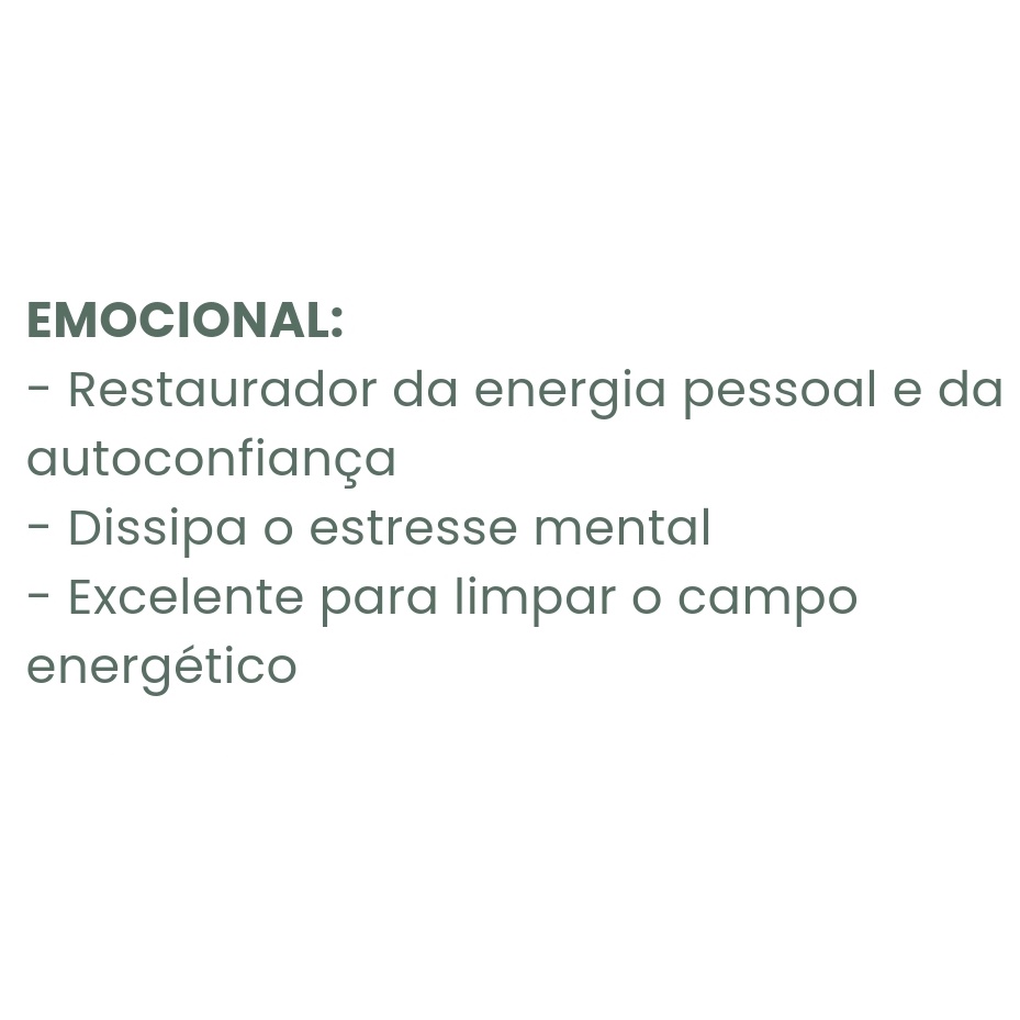 Óleo Essencial Tea Tree Melaleuca (BRASILEIRO) Melaleuca alternifolia GT Brasil - 10 ml - LASZLO — imagem 2 de 2