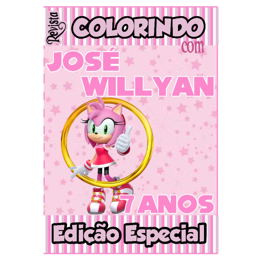 Livro De Colorir Personalizado / Revistinha de Colorir - Tema: Amy Rose - Sonic