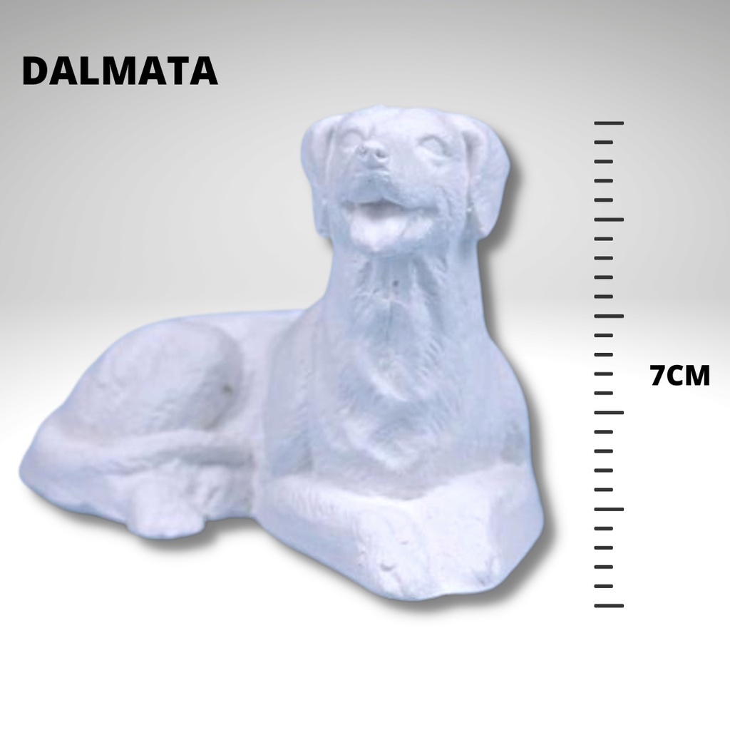 Basset Mini: Guia Completo e Onde Comprar | BuscaProdutos