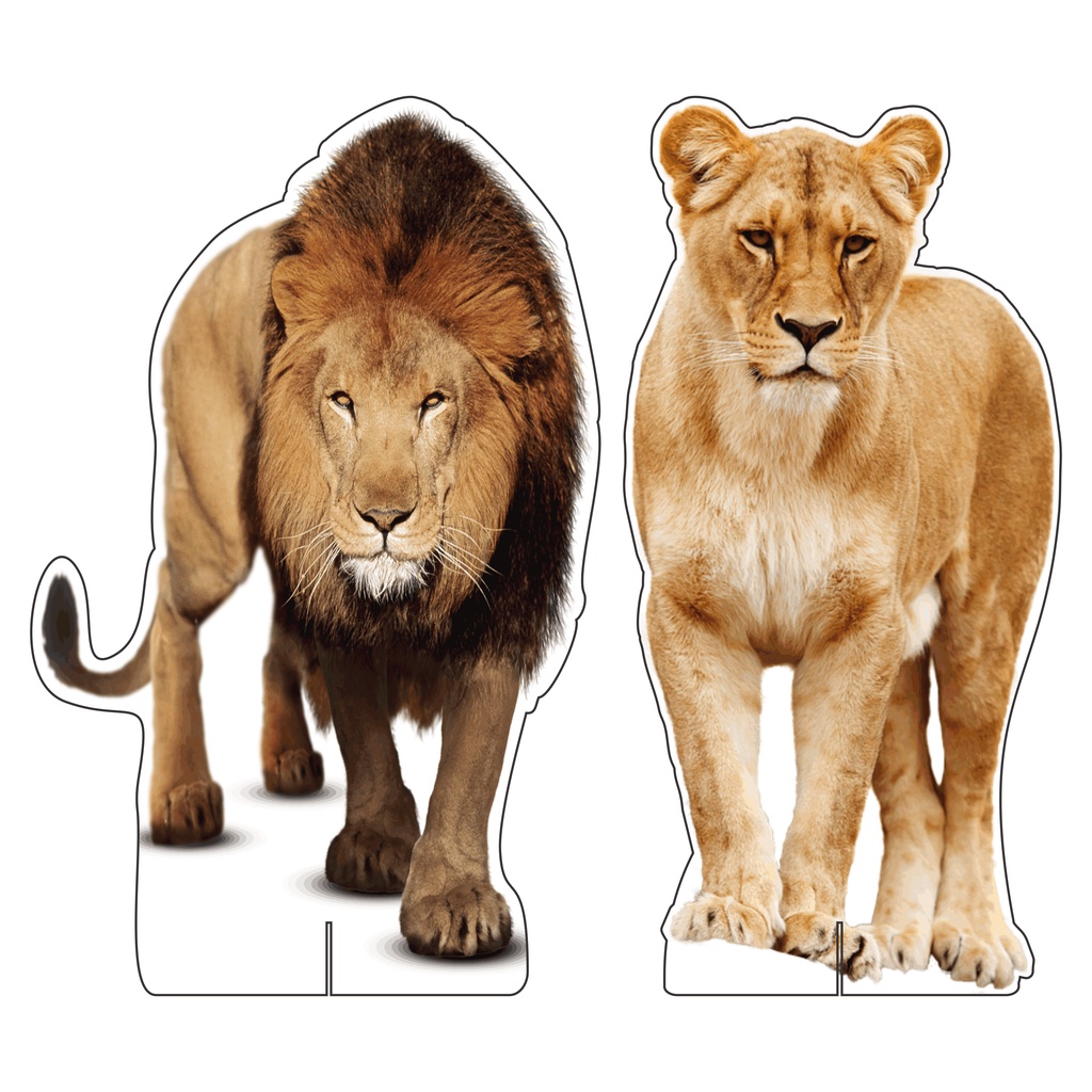 Kit Display de Chão Festa Infantil Safari Real em Oferta na Shopee