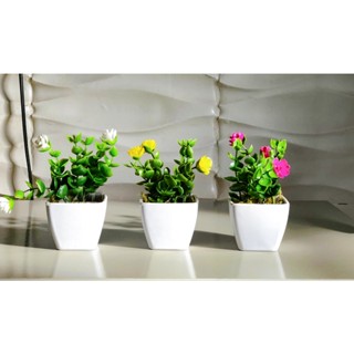 3 Mini Suculentas Plantinhas Artificiais Kit Vaso + Planta
