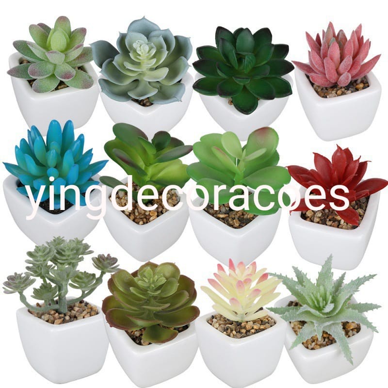 Decorações artificiais com plantas suculentas (estilos mistos de  suculentas )
