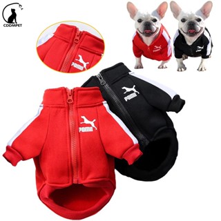 Roupa de Cachorro Moletom Para Cães Casaco De Outono De Inverno De Estimação Com Zíper Colete Pug Pequeno Jaquetas