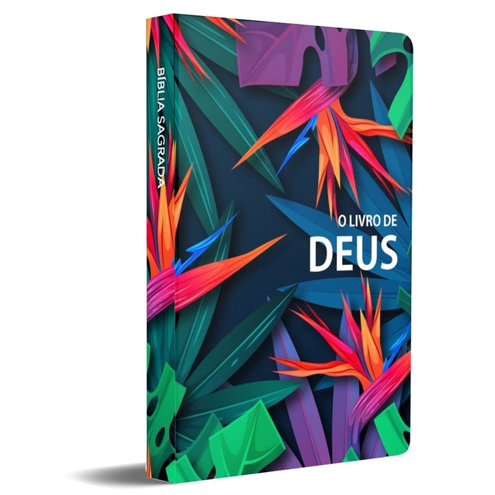 Bíblia Sagrada NVI - O Livro de Deus - Nova Versão Internacional - Com plano leitura - Books & Magazines