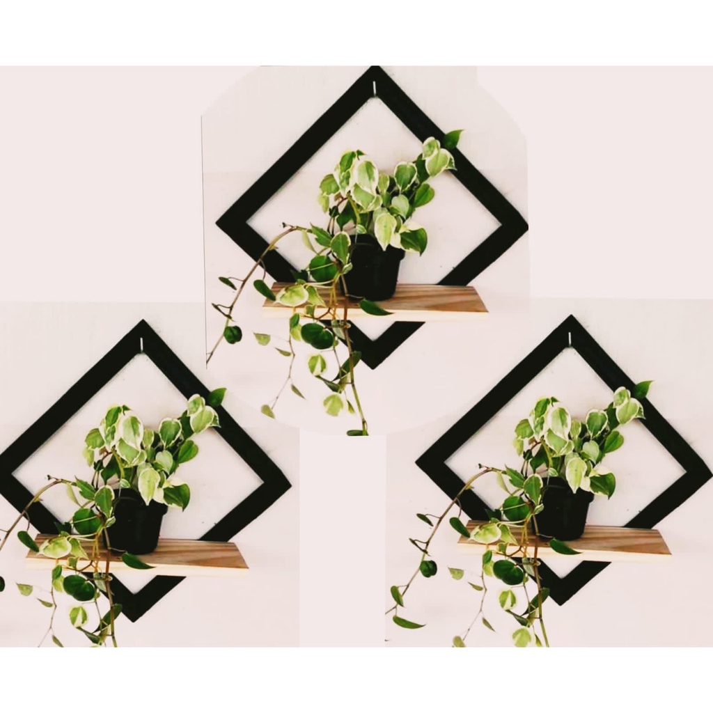 3 quadros decorativo nicho prateleiras 40cm em Oferta na Shopee