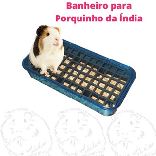 Banheiro Pequeno Sanitário Para Porquinho da India, Rato e Twister