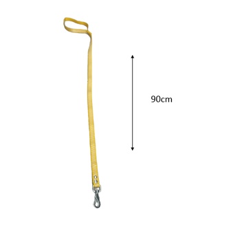 Coleira Gravada  NOME E TELEFONE  E Guia de Passeio