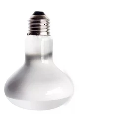 Lâmpada P/ Repteis Uva R63 - Refletora Incand. 60w 230v E27