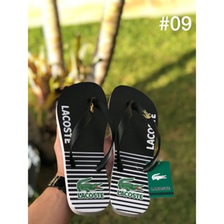 Chinelo masculino Lacoste promoção lançamento