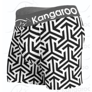 Kit 10 Cuecas Boxer Box Microfibra Adulto Masculino Moda