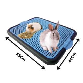 Tapete Banheiro Higiênico Porquinho da Índia Coelho Lavável